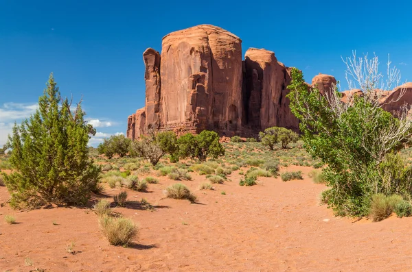 Monument Valley Navajo Tribal Park — Stockfoto