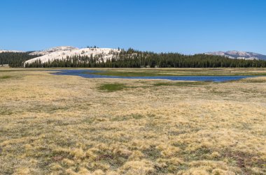 Yosemite Ulusal Parkı