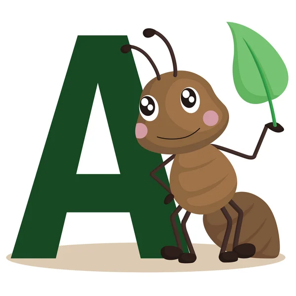 Abeceda Ant — Stockový vektor