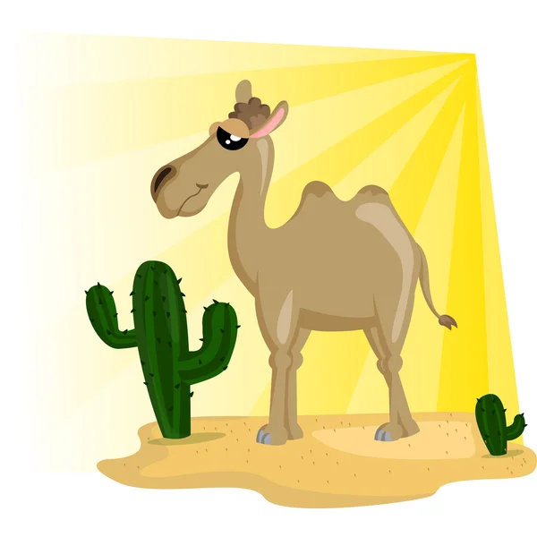 Camel — Stock Vector