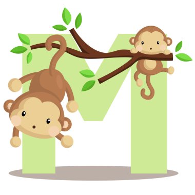 maymun için alfabe m