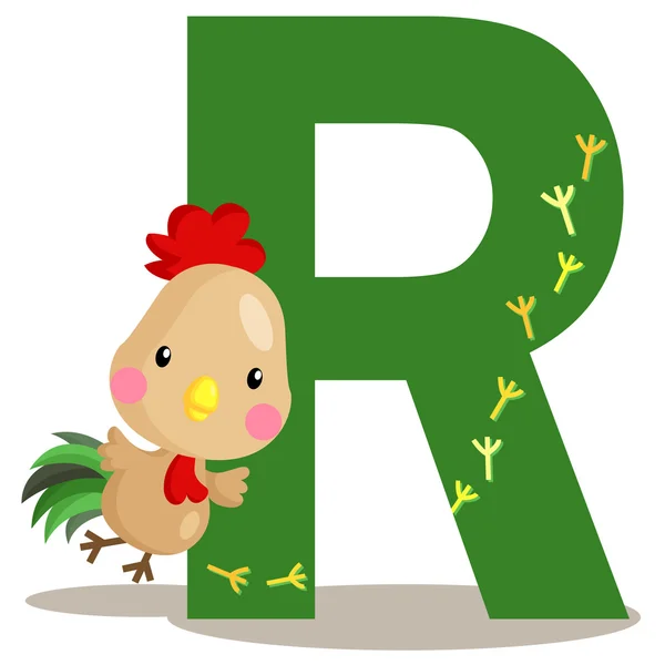 Alphabet R for Rooster — Stock Vector