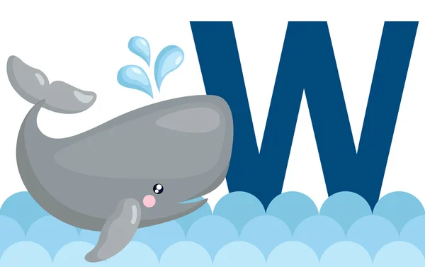 Alphabet w für Wal — Stockvektor
