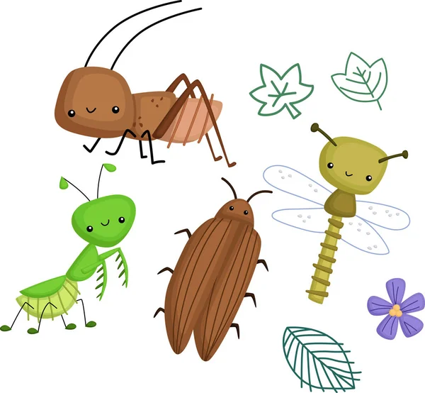 Vector Many Types Bugs — Stock Vector