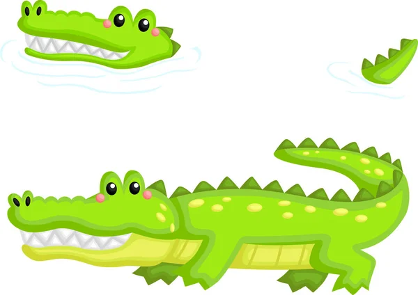 a vector of a cute crocodile
