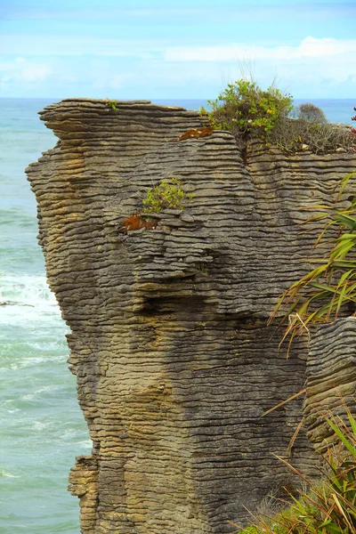 뉴질랜드 Punakaiki 포인트에 바위는 침식된 석회암 지역으로 바다가 수직적 분기공을 — 스톡 사진