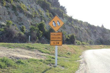 Yeni Zelanda 'nın Oamaru kasabası, Friendly Bay' deki Penguen sınır işareti. 2010