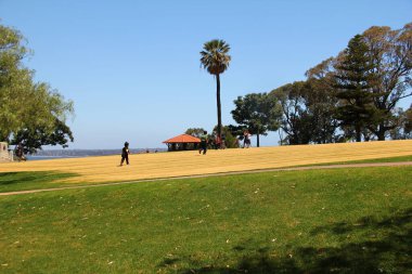 Muhteşem Batı Avustralya Botanik Bahçesi 'ne ev sahipliği yapan Kings Park' taki ziyaretçi görüntüsü. Perth, Avustralya 20 Kasım 2012
