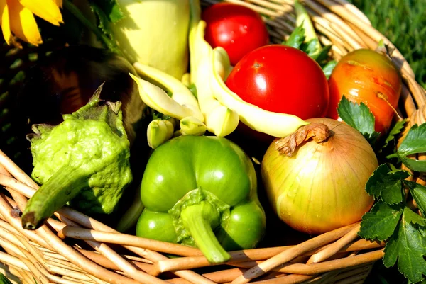 Frisches Gemüse aus dem Garten — Stockfoto