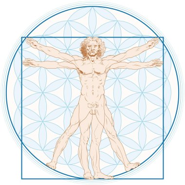 Leonardo da Vinci 'nin yaşam geçmişi çiçekli Vitruvian Man' in vektör tasarımı