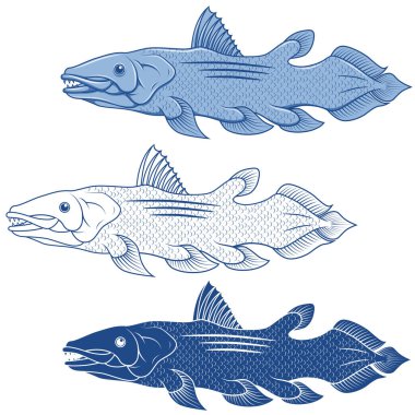 Coelacanth fish vector design, deep sea finfish, sport fishing fish