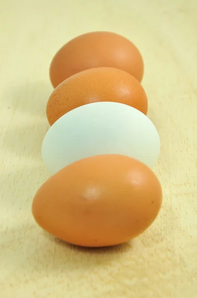 Rij van eieren — Stockfoto