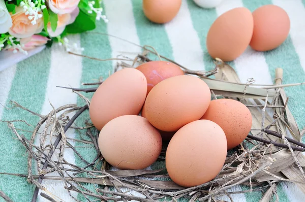 Chicken eggs — Stock Photo, Image