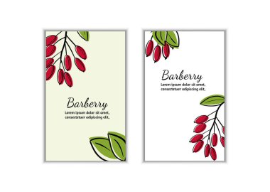 Barberry 'nin doğrusal çizimlerinin koleksiyonu. Dallı böğürtlen, böğürtlen çiçeği ve ayrı böğürtlen. El çizimi vektör çizimi. Metin için yeri olan izole çiçek ögeleri