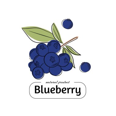 Yapraklı yaban mersini vektörü. Tasarımın için simge. şablon, rozet, etiket, tekstil vs. için.