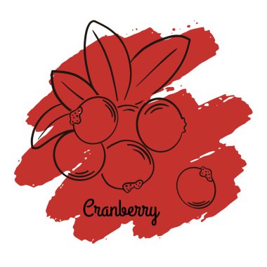 Vektör çizimleri. Bir dizi minimalist meyve posterleri veya fiyat etiketleri.