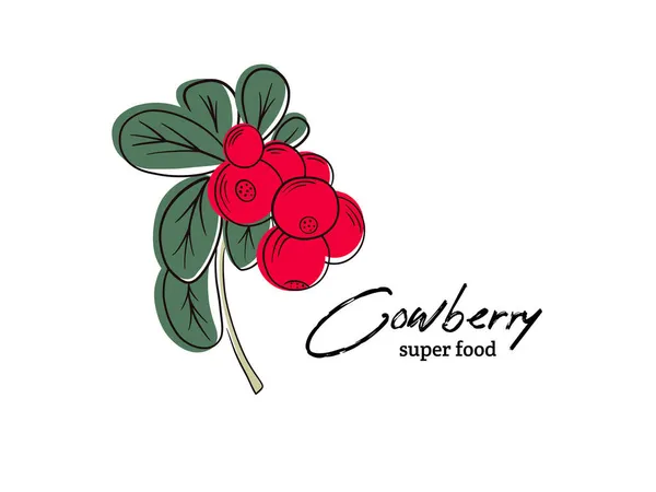 Cowberries vermelhas no caule com folhas ícone vetorial plana. — Vetor de Stock