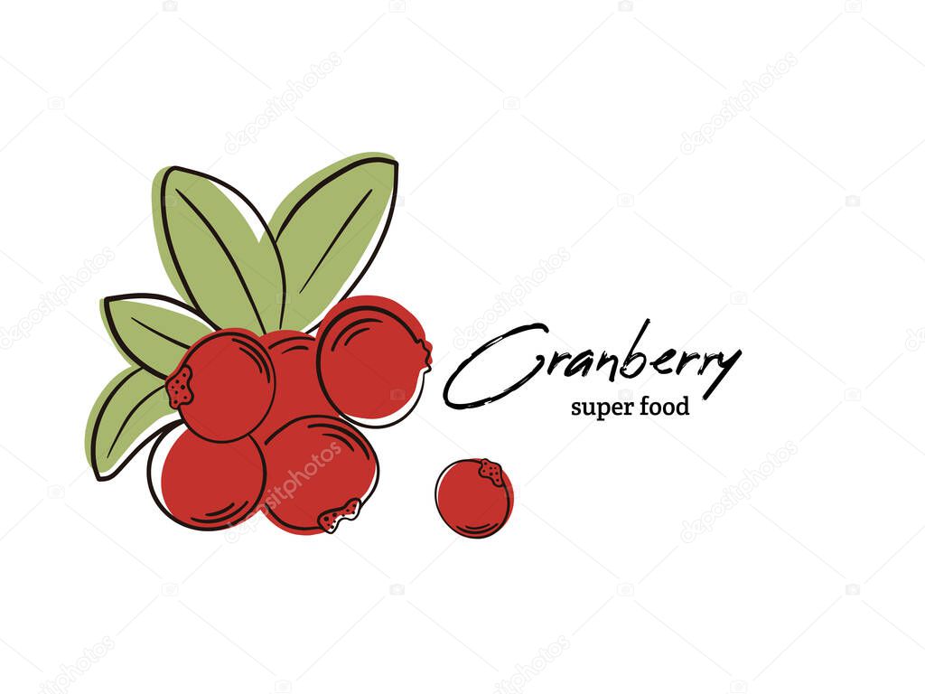 Vector illustrations. Set of minimalistic fruit posters or price tags.