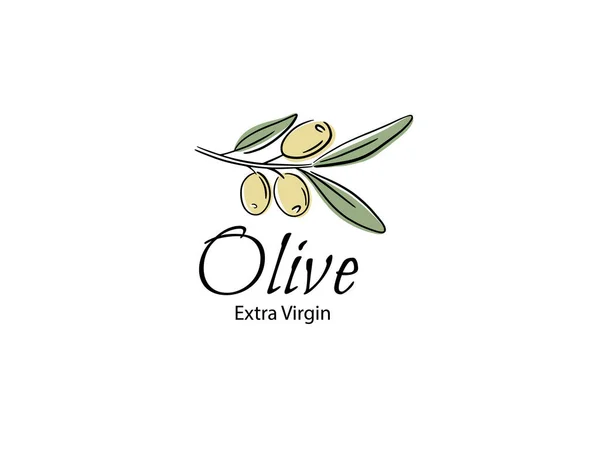 Vektorové dekorativní věnec olivovou ratolestí. Pro popisky, balení — Stockový vektor