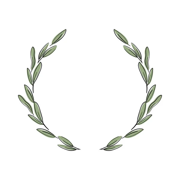 Vector dekorativa krans olivkvist. För etiketter, förpackningar — Stock vektor