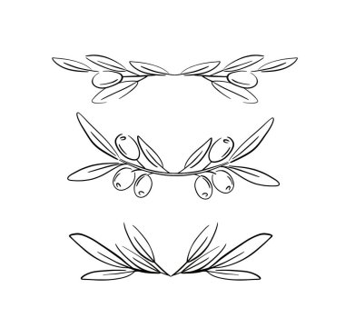 Vektör dekoratif çelenk zeytin dalı. Ambalaj etiketleri için