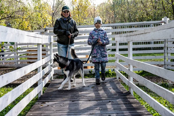 Grand Mère Petite Fille Jouent Promenent Chien Husky Jour Congé — Photo