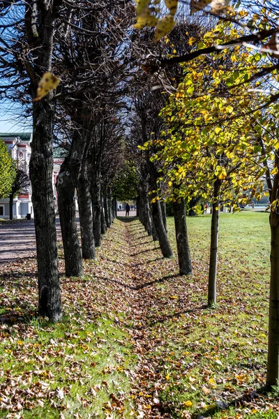 Old Museum Park Complex Kuskovo Moscow Beginning Autumn Bright Sunny — Stock Photo, Image