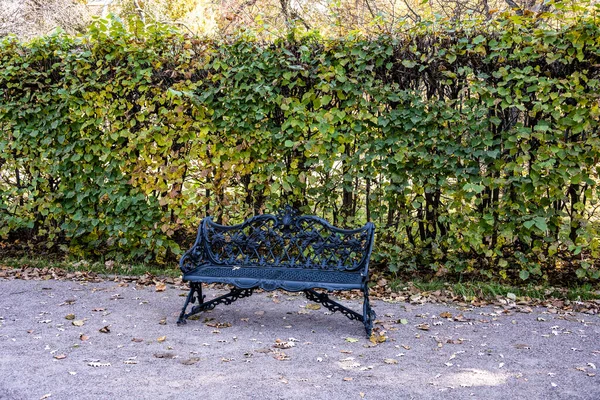 Старый Музейно Парковый Комплекс Кусково Москве Начале Осени Яркий Солнечный — стоковое фото