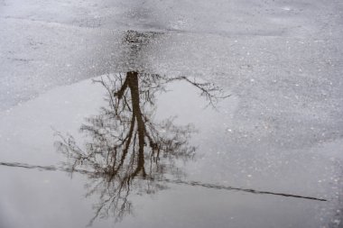 Kentsel sonbahar parçaları ve çoklu pozlama elementleri içeren manzaralar
