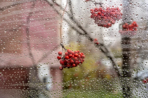 Jesienny Krajobraz Przez Szkło Kroplami Jesiennego Deszczu — Zdjęcie stockowe