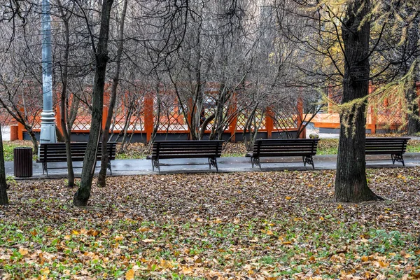 Jesienny Krajobraz Miasta Żółtymi Liśćmi Kałużami Deszczu — Zdjęcie stockowe