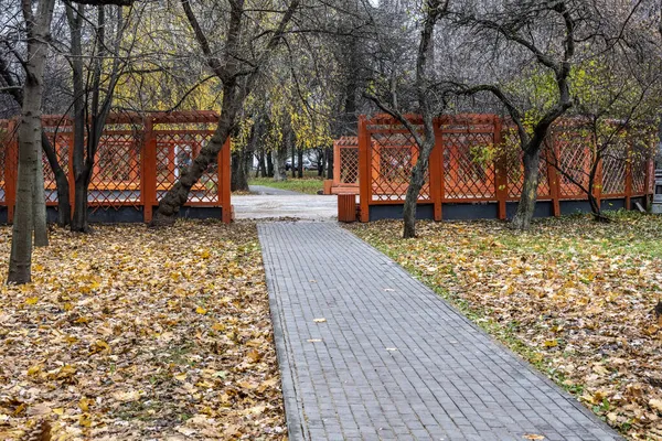 Осенний Пейзаж Городе Желтыми Листьями Лужами После Дождя — стоковое фото