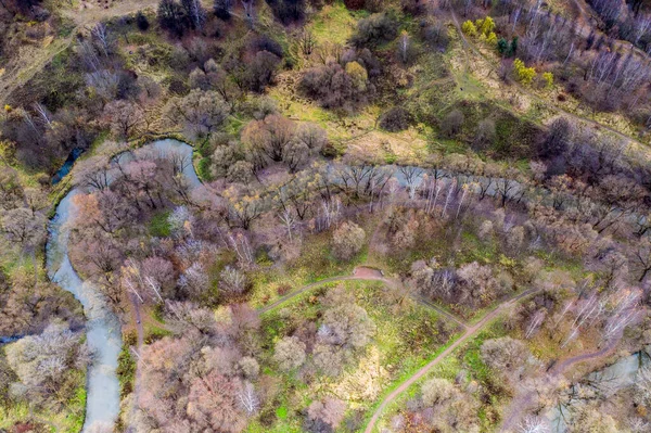 Fiume Verde Tra Alberi Sentieri Sport Una Giornata Autunnale Filmata — Foto Stock