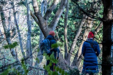 İnsanlar sonbaharın son güneşli ve sıcak günlerinde parkta yürür.