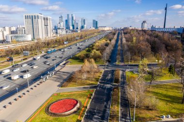 Sonbahar parkında güneşli bir günde sarı ağaçlı bir dronun panoramik görüntüsü. 