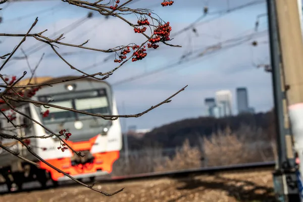 Järnvägsstation Med Ankommande Tåg Solig Höstdag — Stockfoto