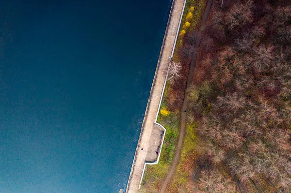 Jesienna Zielona Rzeka Żółty Park Pochmurny Jesienny Dzień Sfilmowany Drona — Zdjęcie stockowe