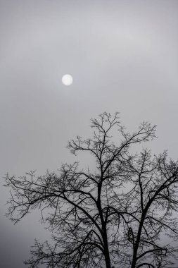 Gri bir sonbahar gününün sisinin içinde parlayan soğuk beyaz güneş.