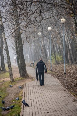 Bulutlu bir sonbahar gününde nehir seti ve sonbahar parkı