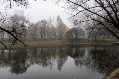 Bulutlu bir sonbahar gününde nehir seti ve sonbahar parkı 