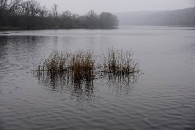 Bulutlu bir sonbahar gününde nehir seti ve sonbahar parkı 
