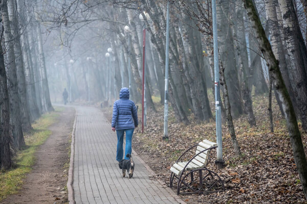 набережная реки и осенний парк в облачный осенний день 