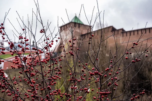 Kremlin Nizhny Novgorod Hecho Piedra Roja Día Nublado Otoño — Foto de Stock