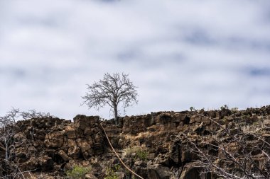 landscape of the Galapagos Islands in fragments and details 
