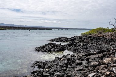 landscape with the Galapagos Islands against the background of the sea and blue sky 