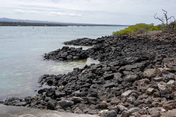 Landscape Galapagos Islands Background Sea Blue Sky — Fotografia de Stock