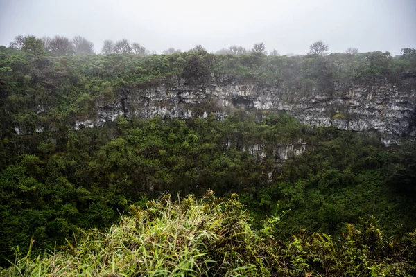Typical Landscape Trees Islands Galapagos Archipelago — Stock fotografie