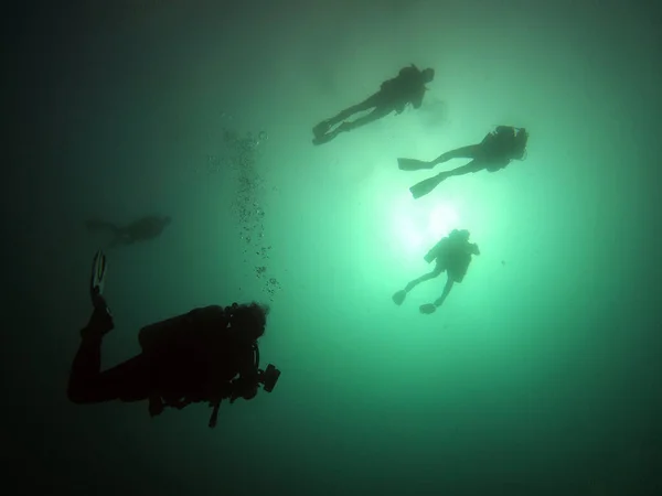 Woman Diver Admires Beauty Galapagos Underwater Expanses — стоковое фото