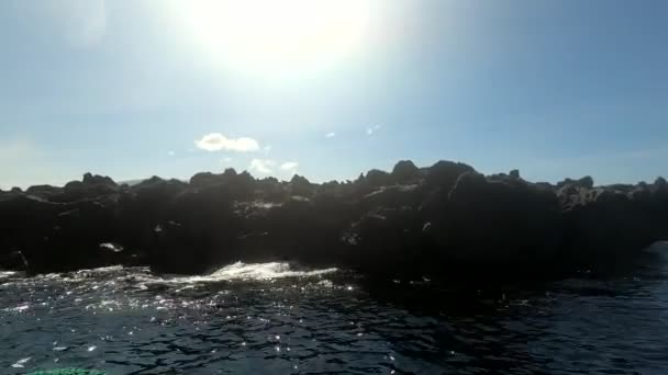 Galapagos Marina Leguaner Vulkaniska Klippor Obebodda Öar — Stockvideo