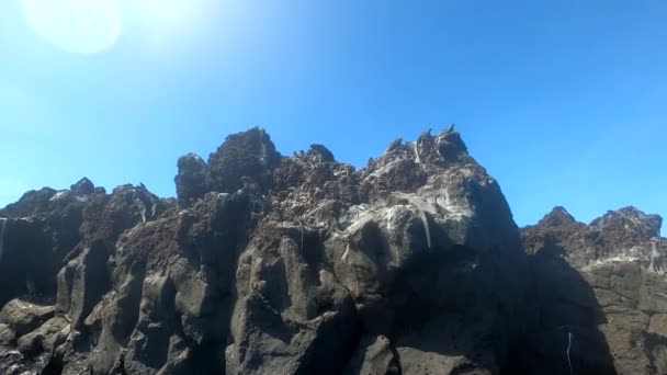 Galapagos Issız Adalarda Volkanik Kayalar Üzerinde Deniz Iguanaları — Stok video